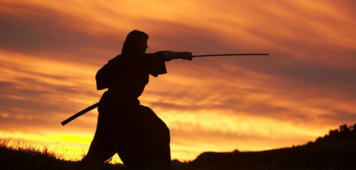 Путь главы Альянса Травиан